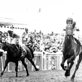 West Tip and Richard Dunwoody (right) deny Young Driver and Chris Grant (left) in the 1986 Grand National.