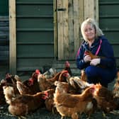 Andrew's partner Kim has had to buy new hens to serve local demand for her eggs during lockdowns