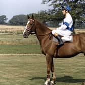 Bob Champion and Aldaniti after their emotional 1981 Grand National win.