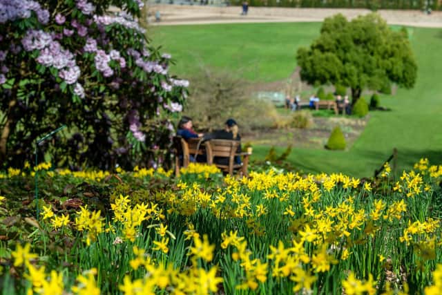 The 58 acres of garden at RHS Harlow Carr expect to see a steady increase of people as social distancing measures start to relax in April with the gardens slowly increasing capacity week by week adding 100-150 additional slots each day. Photo credit: Bruce Rollinson/JPIMediaResell