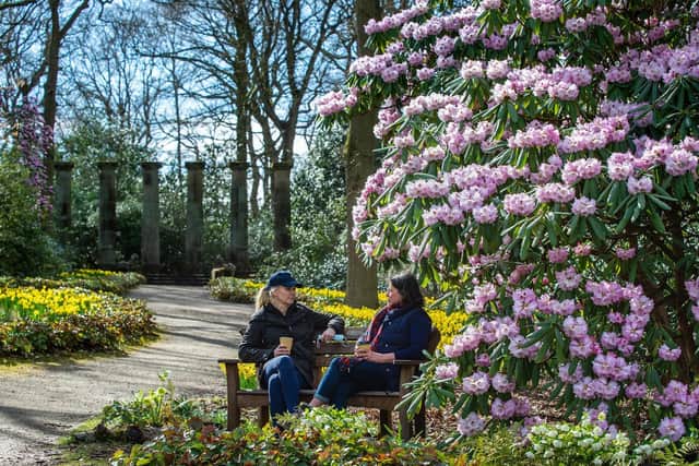 Extra seating and widened paths are just some of the work that has been done behind the scenes at Harlow Carr over the past few months. Photo credit: Bruce Rollinson/JPIMediaResell
