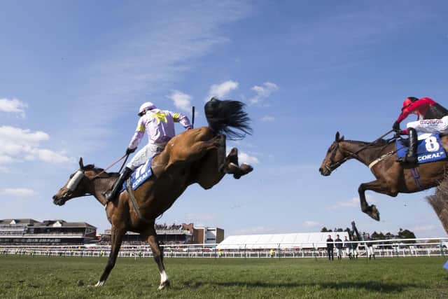 Takingrisks and Sean Quinlan clear the last in the 2019 Coral Scottish Grand National at Ayr.