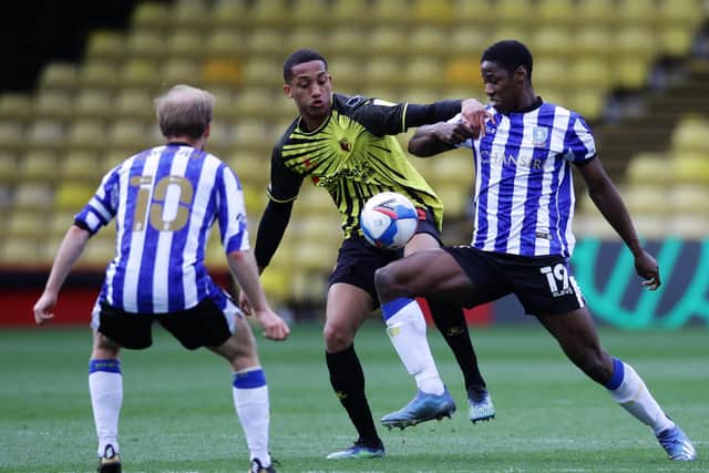 TOUGH TO TAKE: Sheffield Wednesday's Osaze Urhoghide tackles Joao Pedro at Vicarage Road. Picture: David Klein/Sportimage