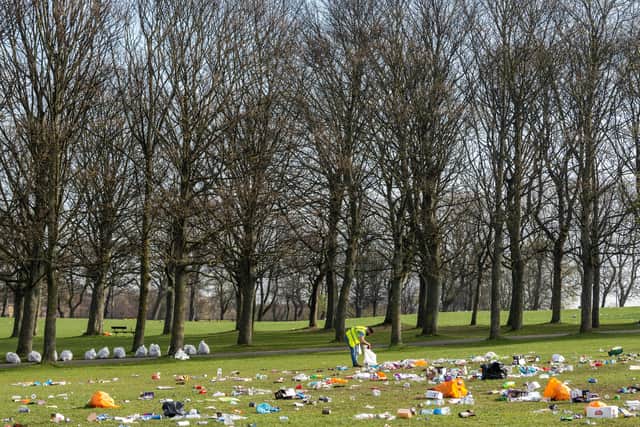 What can be done to tackle the county's litter epidemic?