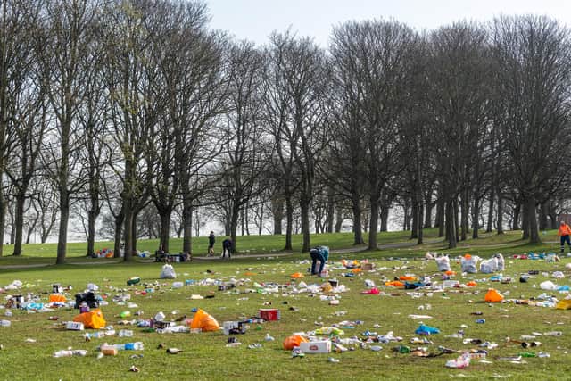 What should be done to solve the county's litter epidemic?