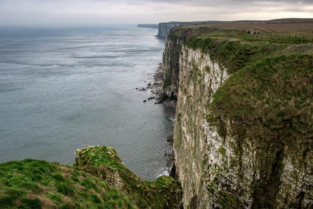 The dramatic views of Bempton Cliffs. 
Picture Bruce Rollinson