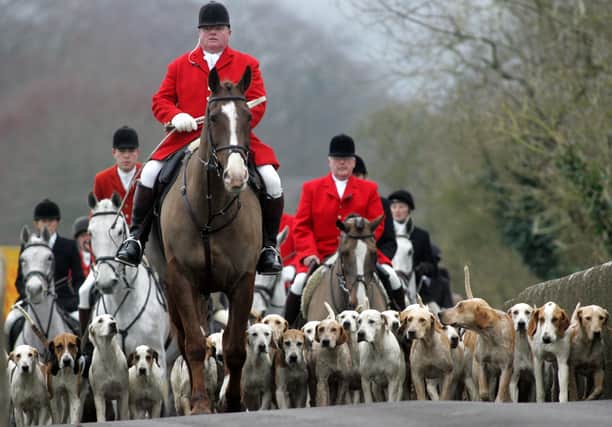 What should be the future of hunting with hounds?