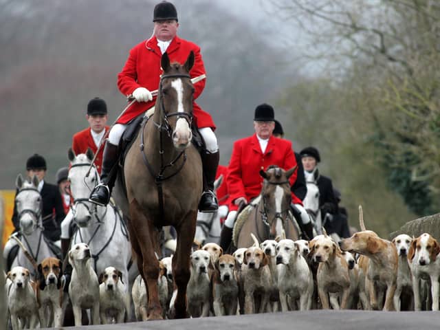What should be the future of hunting with hounds?