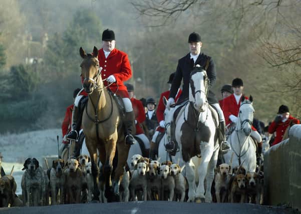 Does the Hunting Act need to be reviewed?