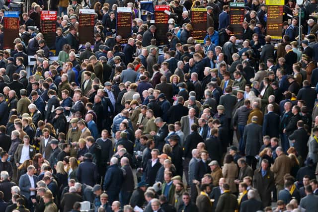 Around 250,000 spectators are expected at next week's Cheltenham Festival.