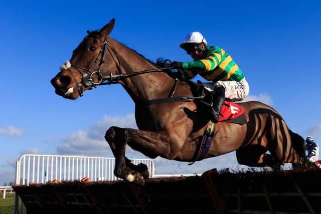 Minella Rocco provided AP McCoy with a victory in the jockey's final year in the saddle before retiring in 2015.