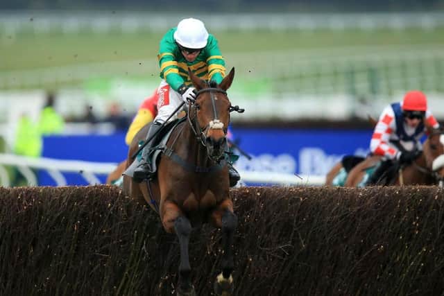 Familiar feeling: Minella Rocco wins the National Hunt Chase at Cheltenham in 2016. (Picture: PA)
