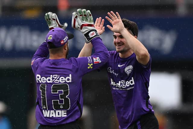 Jordan Thompson celebrates a wicket with Hobart Hurricanes team-mate Matthew Wade. (Photo by Steve Bell/Getty Images)