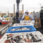 What is the impact of Brexit on the fishing industry?