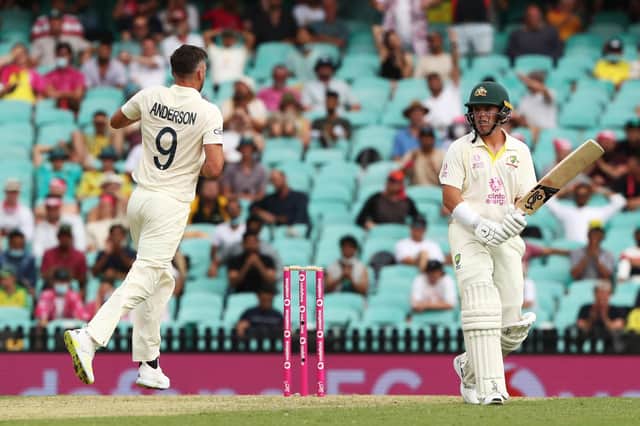 Got him: England's James Anderson celebrates the wicket of  Australia's Marcus Harris.