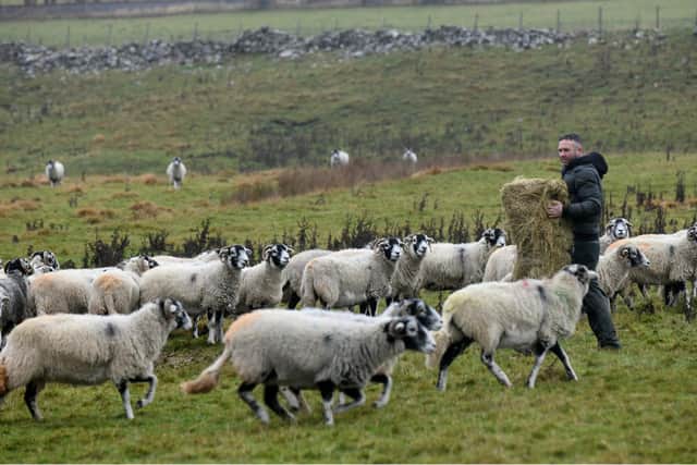 The family have Swaledale sheep but have also diversified into tourism