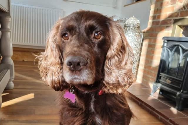 Cassie has been returned home eight years after she was stolen