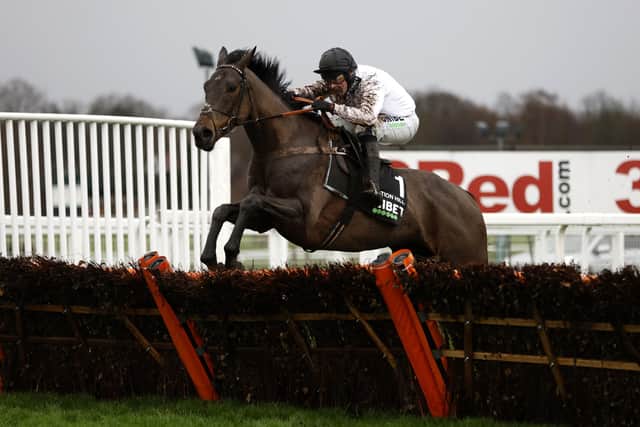Nico de Boinville riding Constitution Hill goes on to win the Unibet Tolworth Novices' Hurdle at Sandown.