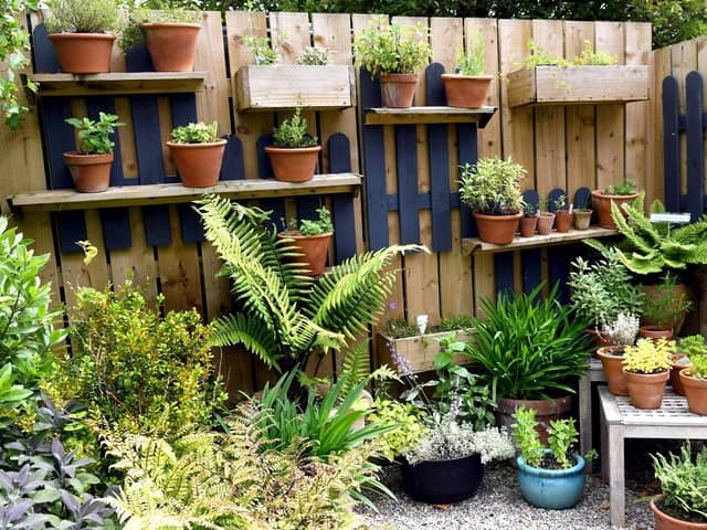 These are the best houseplants for beginner gardeners. (Pic credit: Gary Longbottom)