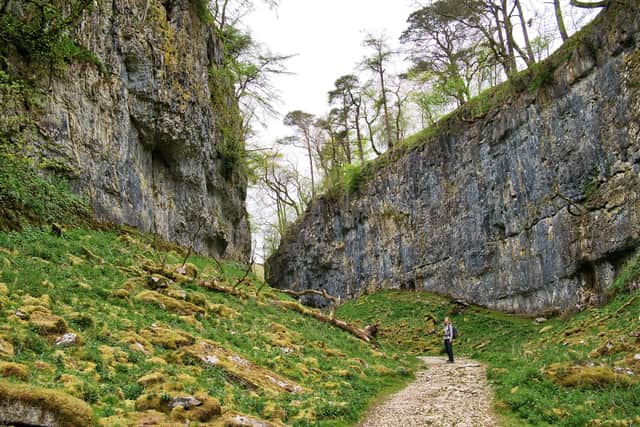 A walker looks up at Trow Gill, a meltwater gorge near Clapham in the Yorkshire Dales.