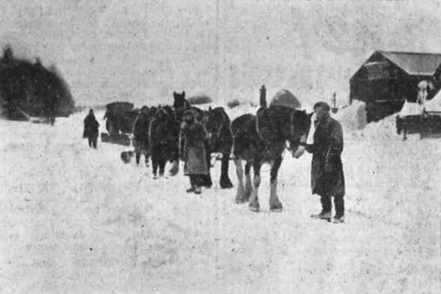 Snow plough teams at Egton Lane, Whitby winter 1947.  Image John Tindale, courtesy of Whitby Museum.