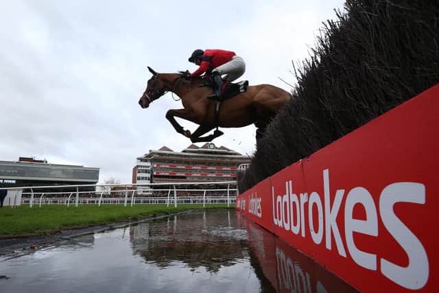 Novice steeplechaser Ahoy Senor, the mount of Derek Fox, is due to appear at Wetherby next month, says racing legend Peter Scudamore.