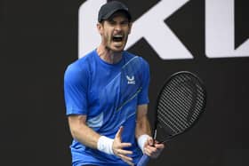 Back on track: Andy Murray reacts after winning a point against Nikoloz Basilashvili. Pictures: AP