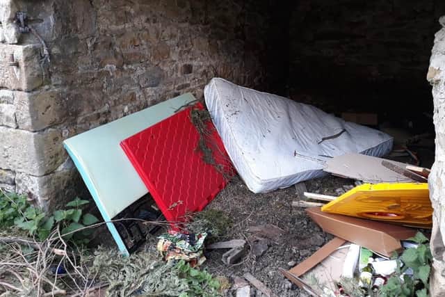 The dumped items included mattresses