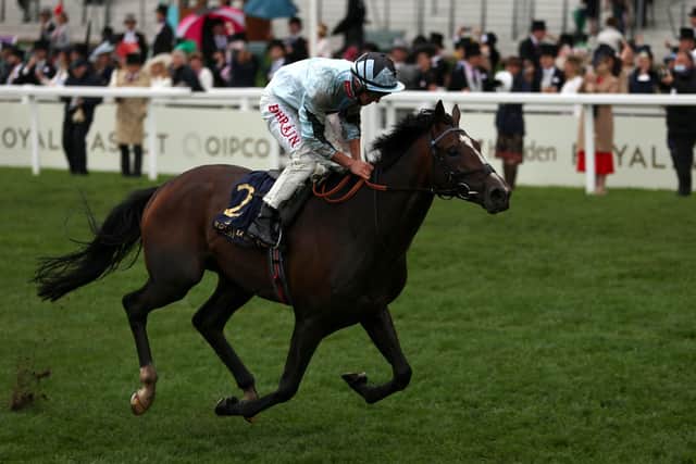 Alenquer ridden by Tom Marquand comes home to win the King Edward VII Stakes at Royal Ascot last June.