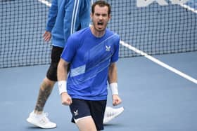 Back in action: Andy Murray.