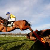 Navajo Pass ridden by Sean Quinlan on their way to winning The New One Unibet Hurdle during the Peter Marsh Chase Day at Haydock Park Racecourse in January 2020.