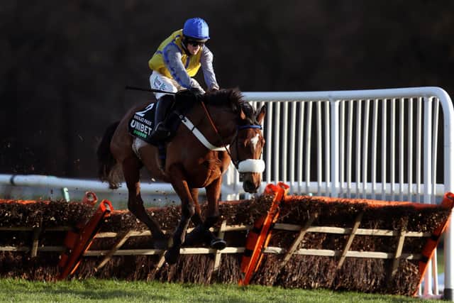 Navajo Pass ridden by Sean Quinlan on their way to winning The New One Unibet Hurdle during the Peter Marsh Chase Day at Haydock Park Racecourse in January 2020.