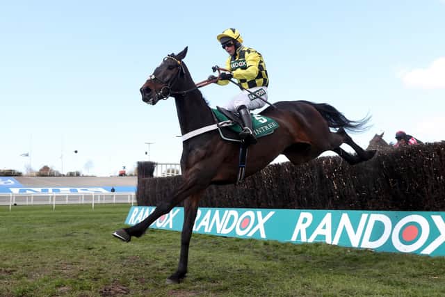 Shishkin and Nico de Boinville carry the hopes of trainer Nicky Henderson in today's Grade One Clarence House Chase at Ascot.