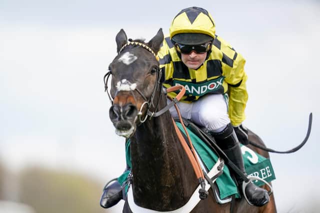 Shishkin and Nico de Boinville carry the hopes of trainer Nicky Henderson in today's Grade One Clarence House Chase at Ascot.
