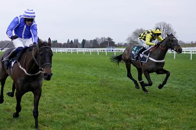 Nico de Boinville riding Shishkin (right, yellow colours) get up on the run-in to win the SBK Clarence House Chase from Paul Townend and Energumene (left, blue silks) at Ascot.