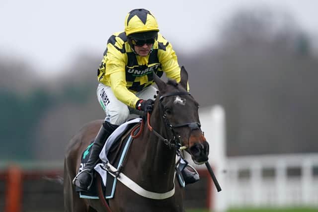 Shishkin ridden by Nico de Boinville before going on to win SBK Clarence House Chase at Ascot.