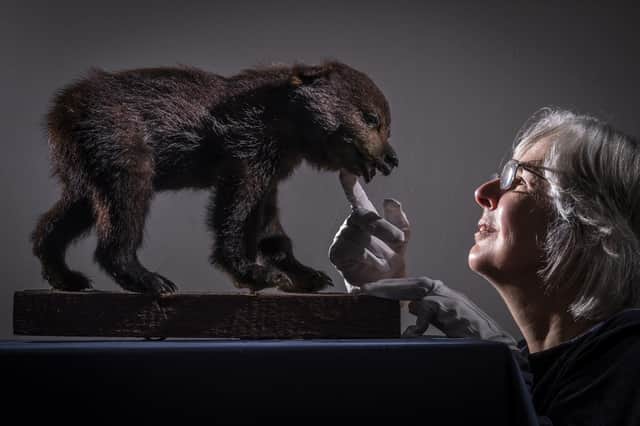 Curator Kitty Ross Abbey with a Himalayan Black Bear cub, that was once part of a Victorian menagerie  Picture: Danny Lawson/PA Wire