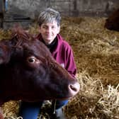 Tracy Severn hates selling her bulls