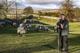 Graham offers a Swaledale sheep experience from his smallholding near West Witton in Wensleydale to teach people how to care for sheep  Picture: Tony Johnson