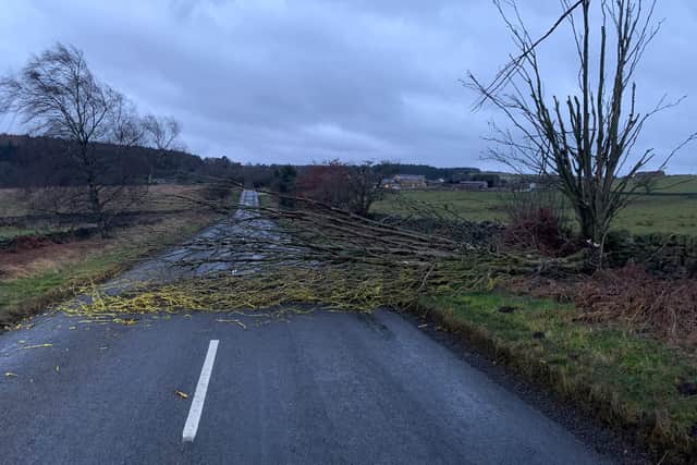 A fallen tree on the B6161 at Beckwithshaw