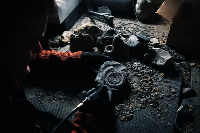 Mark Kemp pictured in his workshop at home in Hull, prepping one of his fossil finds.