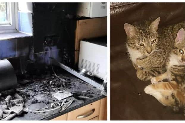 Some of the damage caused by the fire at a home on Gresley Road, Lowedges, Sheffield, which killed three pet cats