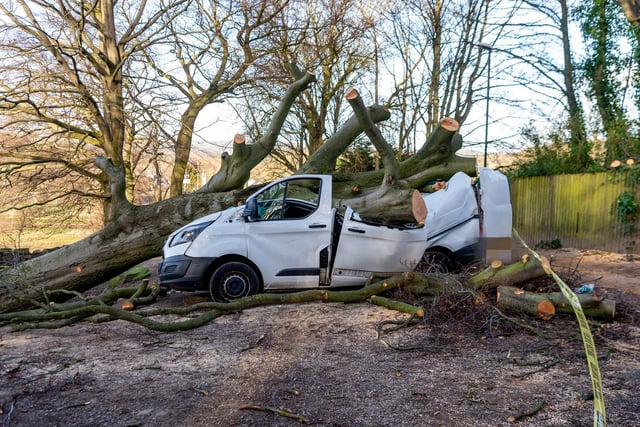 A white van parked on Calverley Cutting, Apperley Bridge, totally destroyed by a fallen tree from yesterday's Storm Malik.