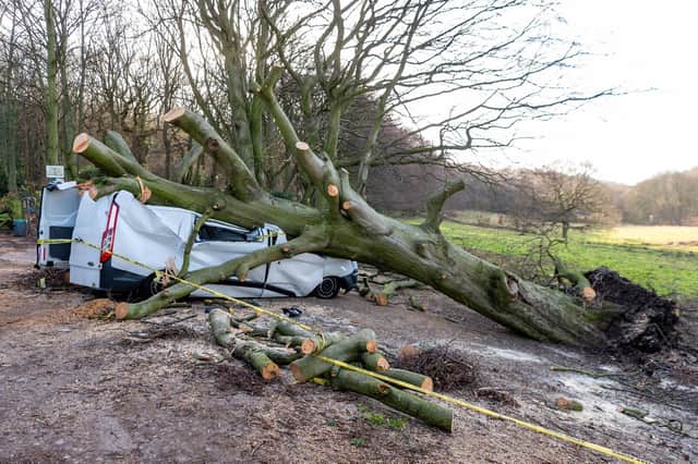 A white van parked on Calverley Cutting, Apperley Bridge, Bradford, totally destroyed by a fallen tree from yesterday's storm Malik.