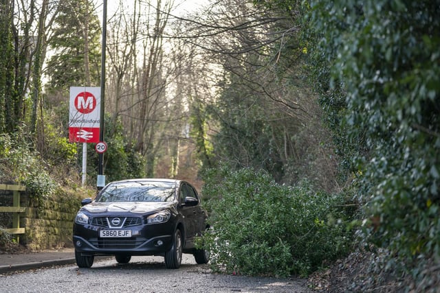 A fallen tree blocks a road in Woodlesford in West Yorkshire