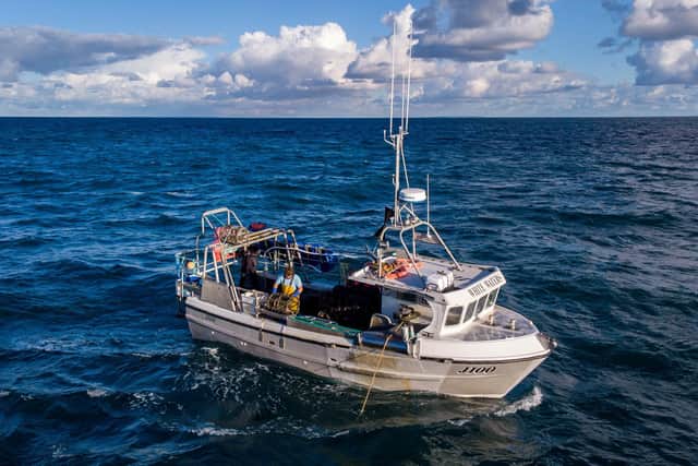 The mysterious marine deaths have been affecting Yorkshire's fishermen