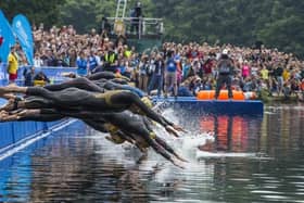 Making a splash: Leeds' Roundhay Park will be staging the ITU World Championship series event again this summer.