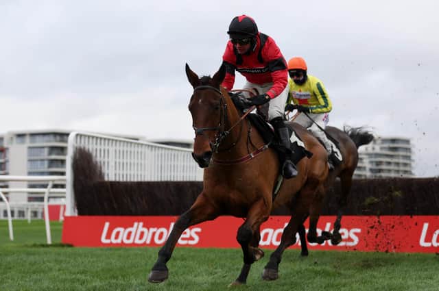 Ahoy Senor and Derek Fox - pictured winning at Newbury - remain on course for Wetherby's Towton Novices' Chase this weekend.