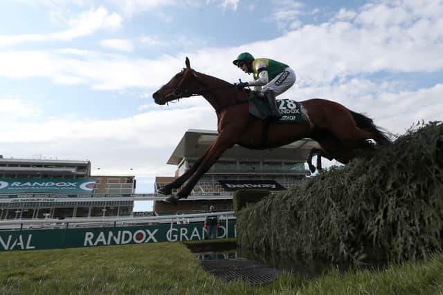 Jonjo O'Neill has given an update on the Randox Grand National chances of Cloth Cap who was pulled up by Tom Scudamore in last year's race.