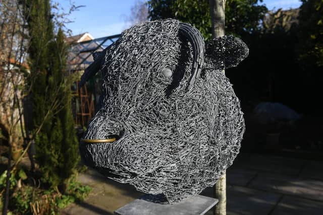 A bull's head made by Mark  Picture: Simon Hulme